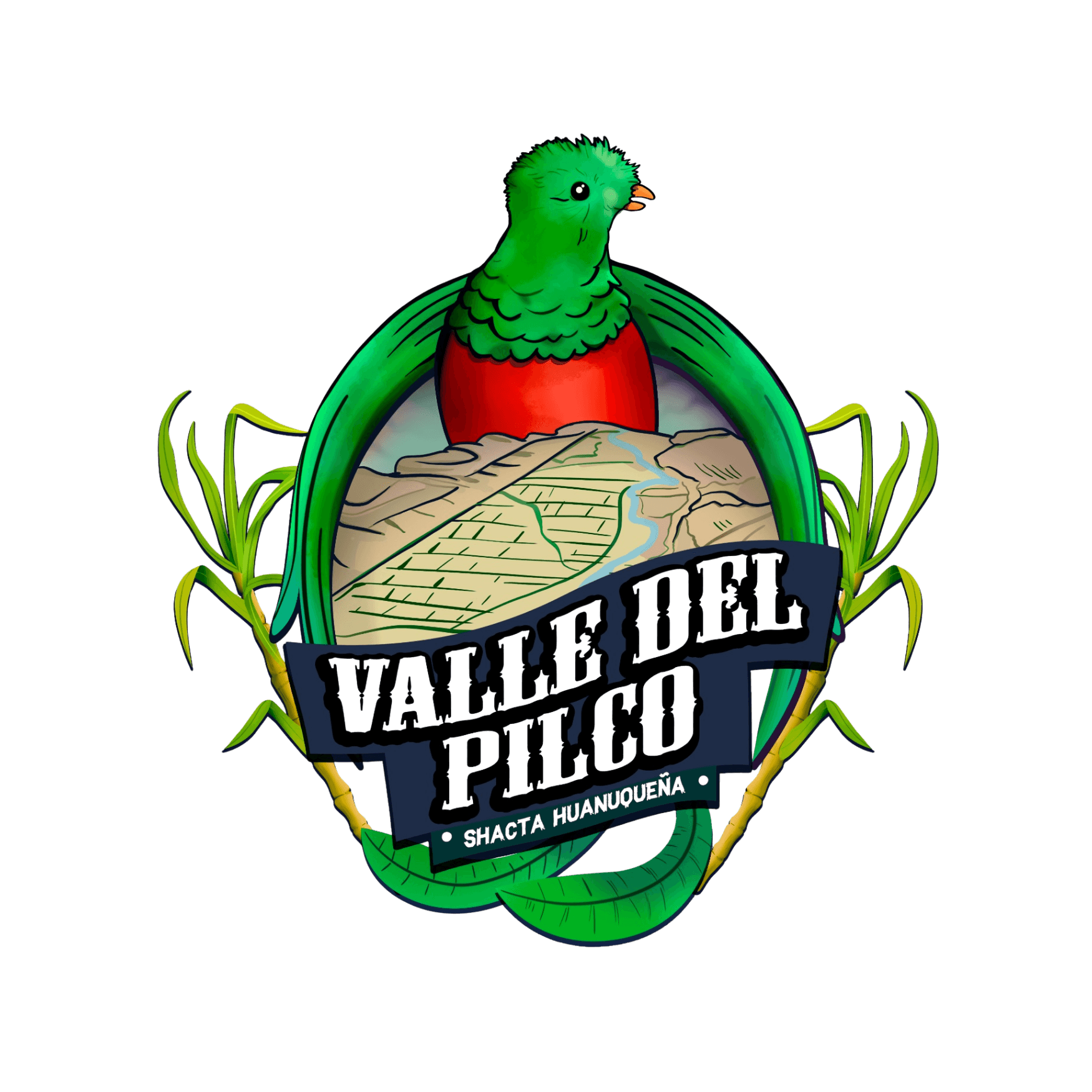 Empresa 8